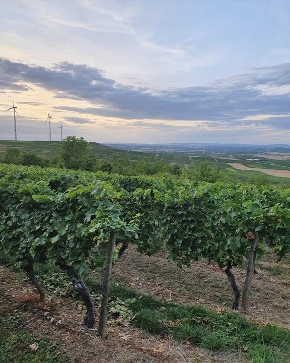 Stockbauers Weinkastell Kloppberg